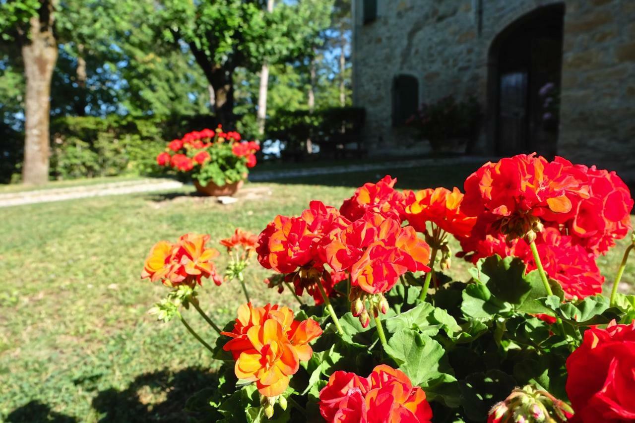 La Corte Bonomini Neviano degli Arduini Exterior foto